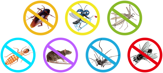 珠海白蚁防治 珠海白蚁防治