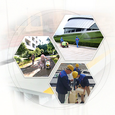 珠海白蚁防治 珠海白蚁防治