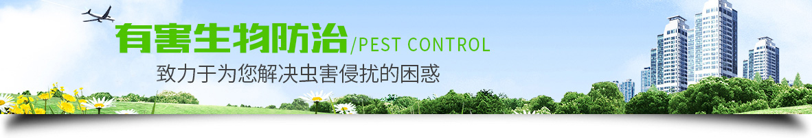 珠海白蚁防治 珠海白蚁防治